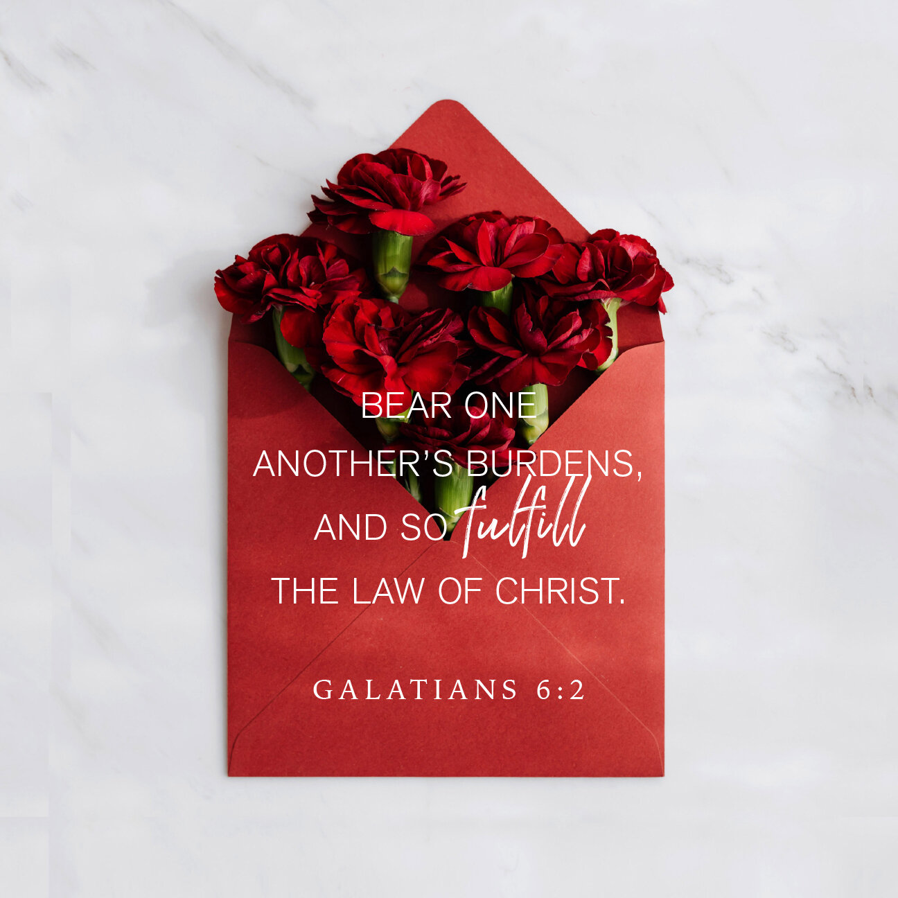 Update from The NHL Team – Walking Together